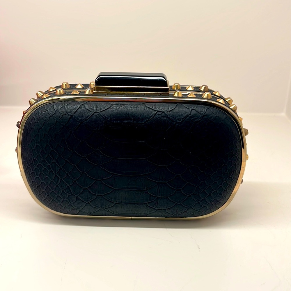 BCBG evening clutch